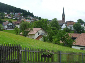 Nähe Nationalpark Baiersbronn